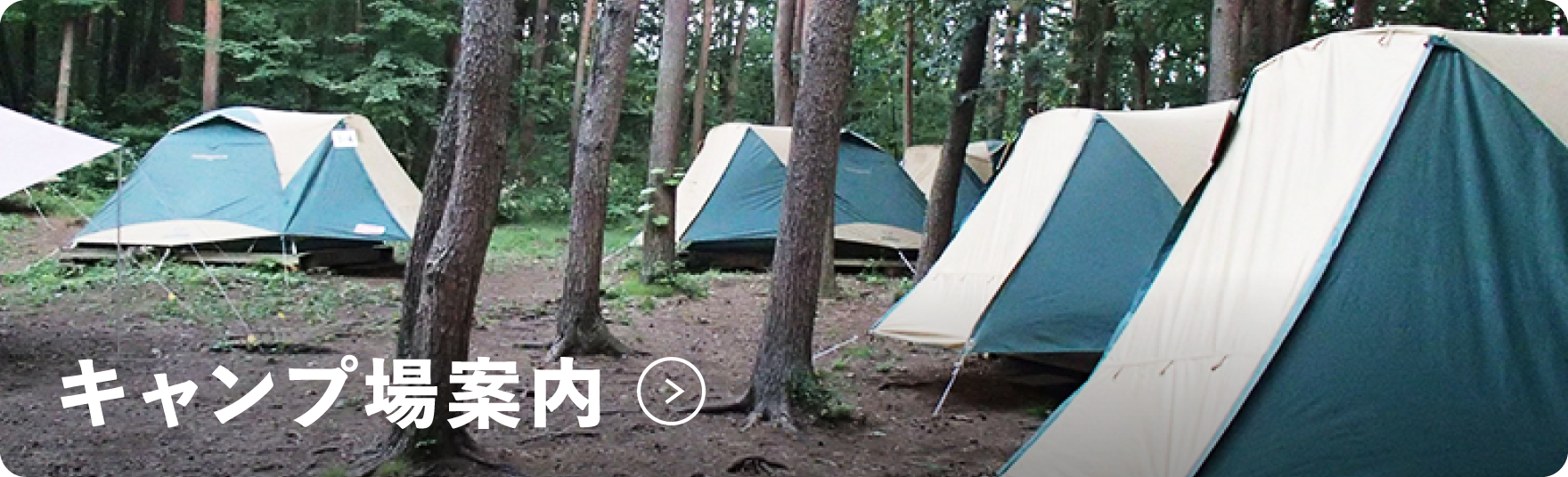 キャンプ場案内